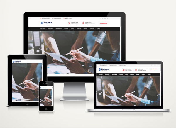 Kurumsal / Danışmanlık Web Paketi