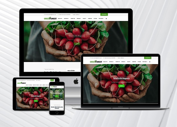 Kurumsal E-Ticaret Web Sitesi